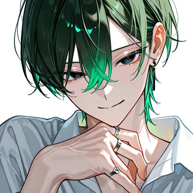 Profile image of 昴流