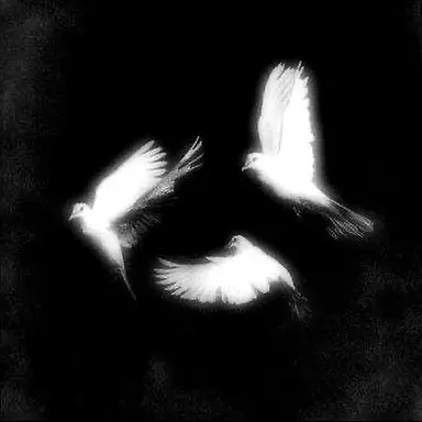 Profile image of 김민정