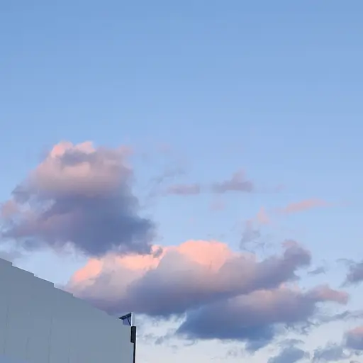 PettyMist5943의 소예별