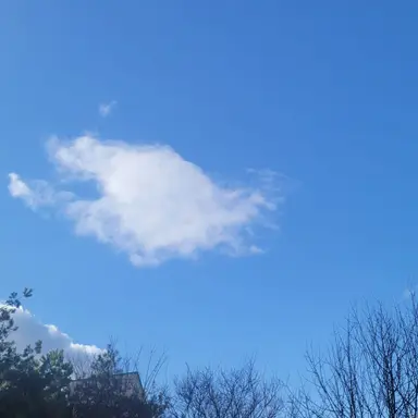 Profile image of 평학