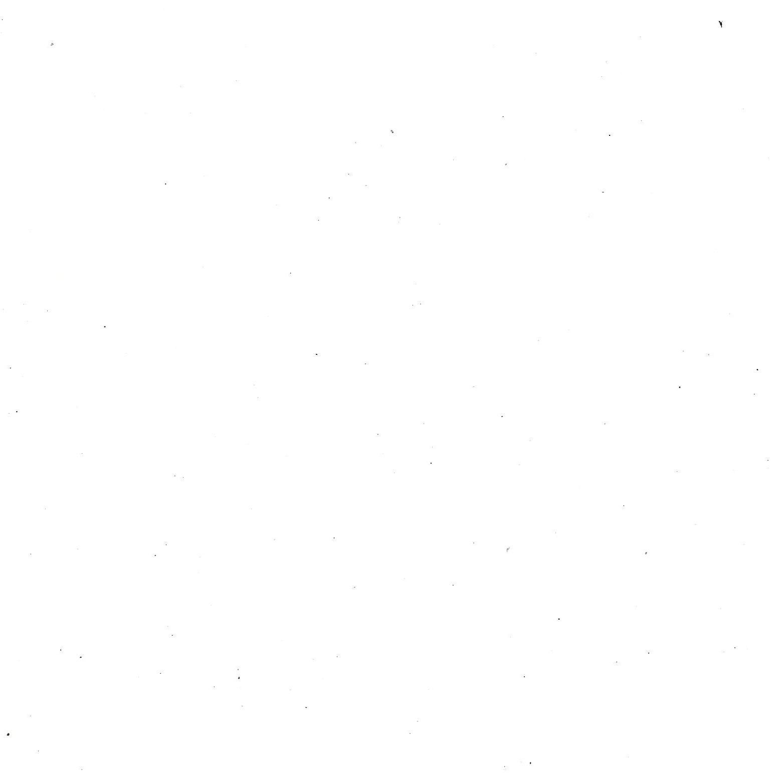 나나