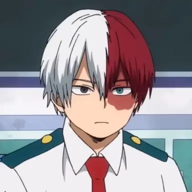 Profile image of Shoto Todoroki