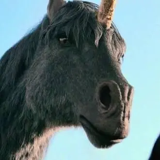 Profile image of Unicorn