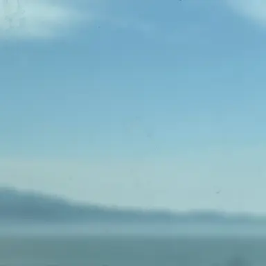 Profile image of 잠뜰