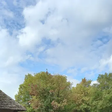 Profile image of 공룡