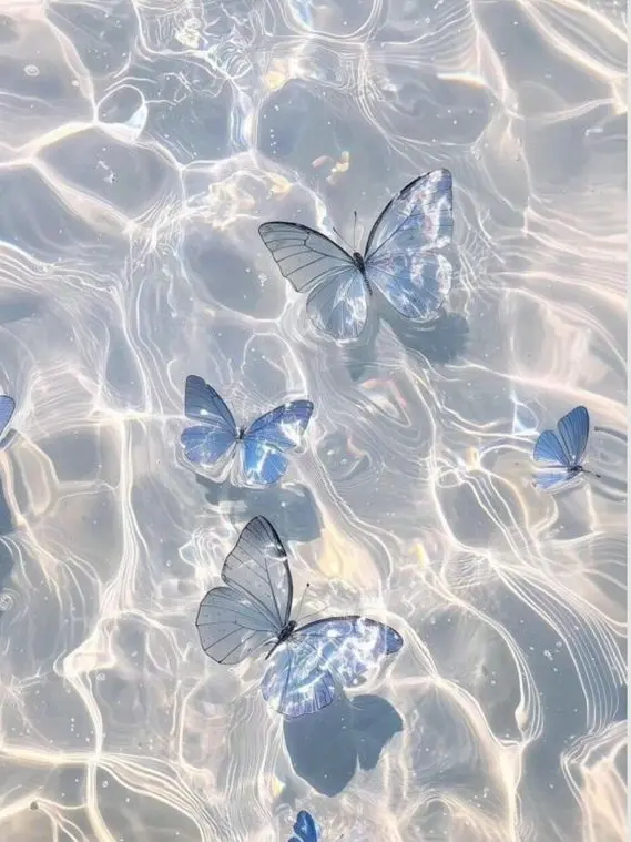 Yerin_392의 차별 가족