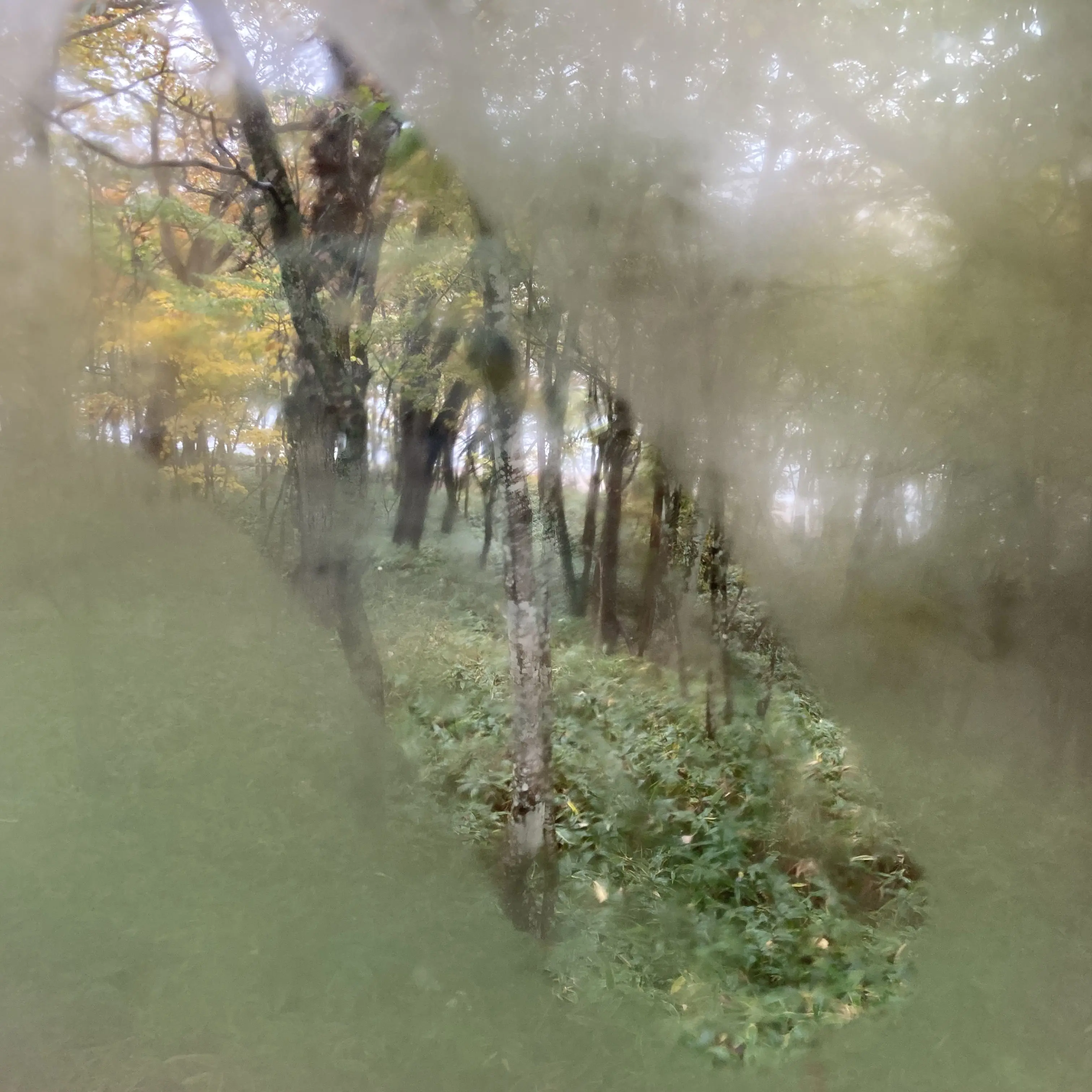 yuuuuuuuuuuu의 【必見】言いたいことがありまして…