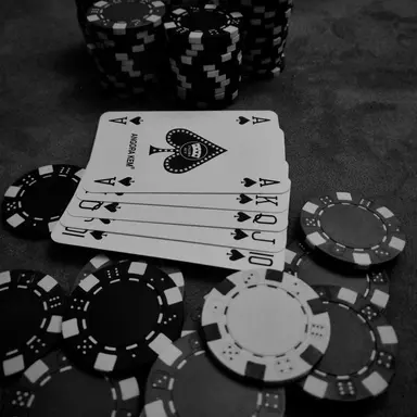 Profile image of 노지혜