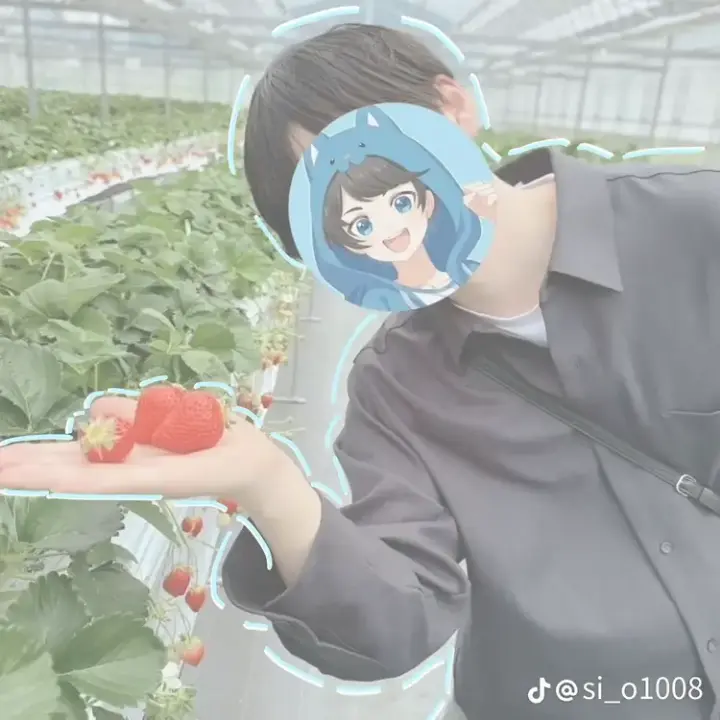SourZorse0008의 味方は必ずいる3
