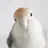 똑무