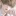유하준