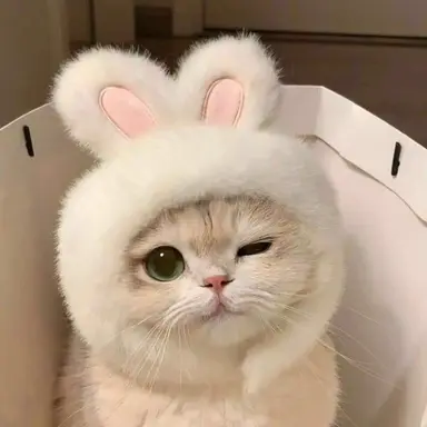 Profile image of 김미미