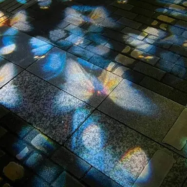 Profile image of 연이