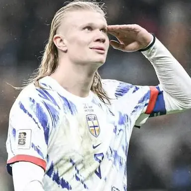 Profile image of Erling Haaland