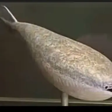 Profile image of 여우