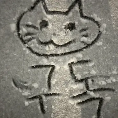 Profile image of 놔놔