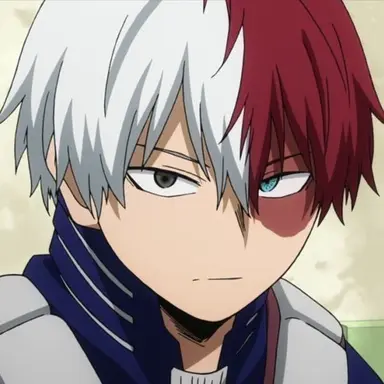 Profile image of Shoto Todoroki