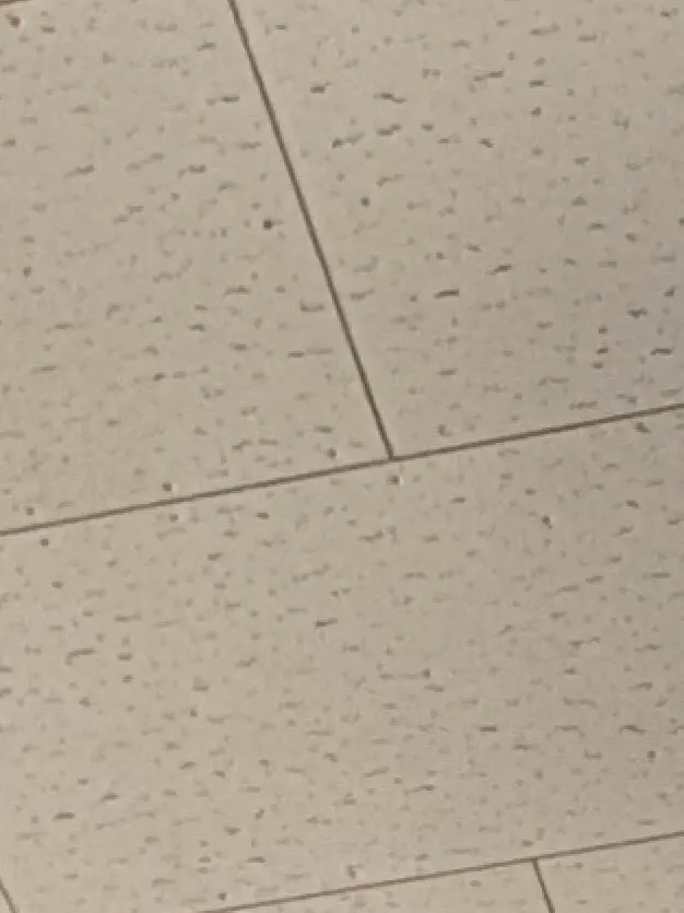 Kurosann의 変な世界。