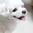 전정국