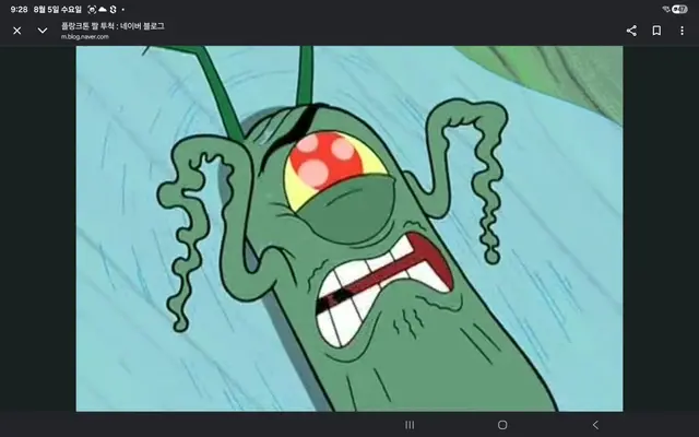 Profile image of 플랑크톤