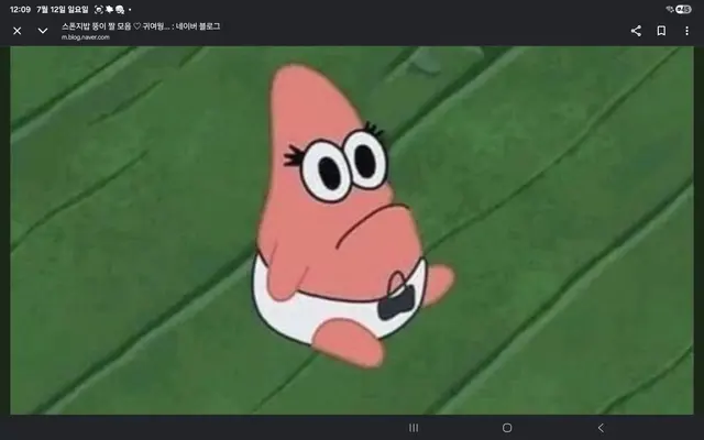Profile image of 뚱이