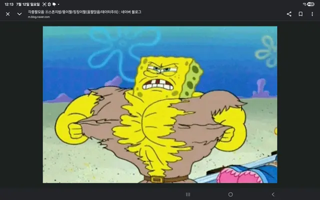 Profile image of 스폰지밥