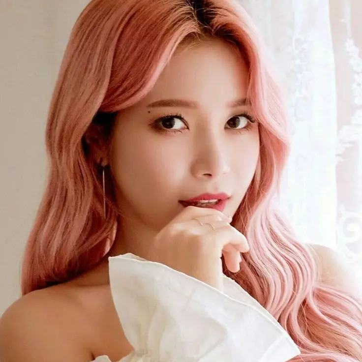 CurvyPlank1800의 마마무 솔라
