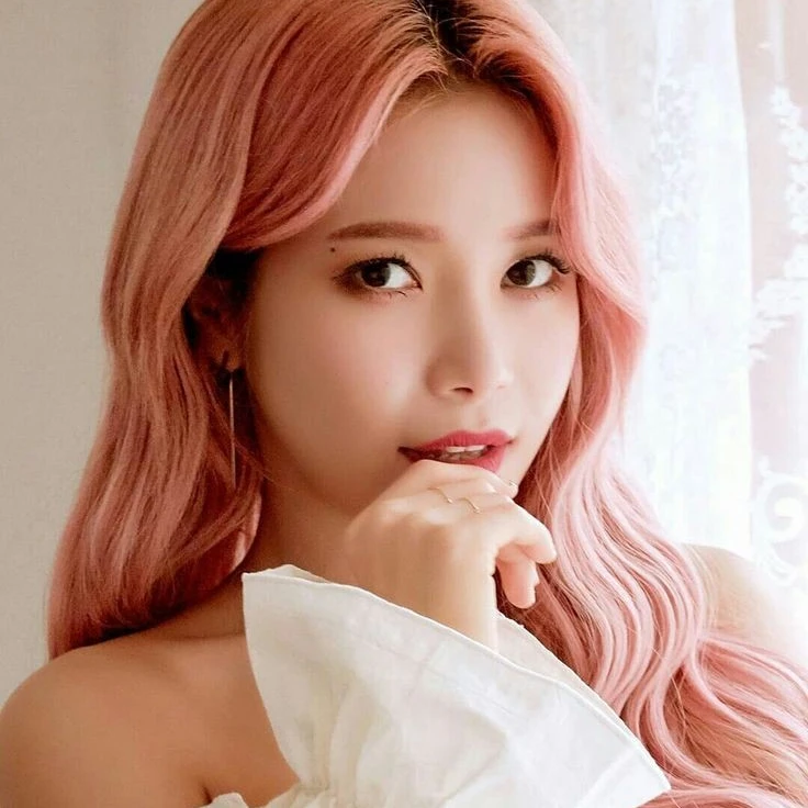 마마무 솔라