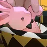Profile image of ブラウン
