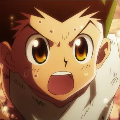 Profile image of Gon Freecss
