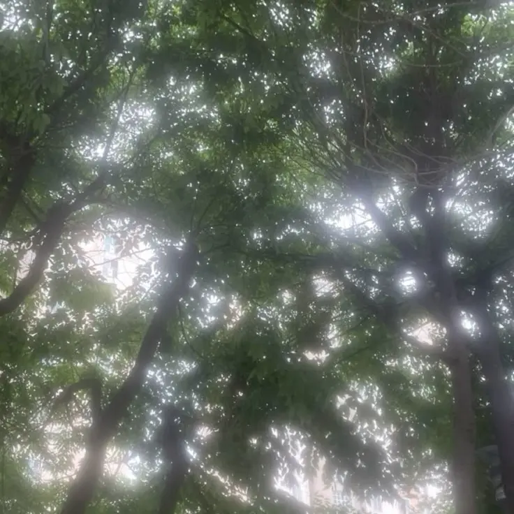 Uni.t_prskH의 리레볼루션(인데 여우)