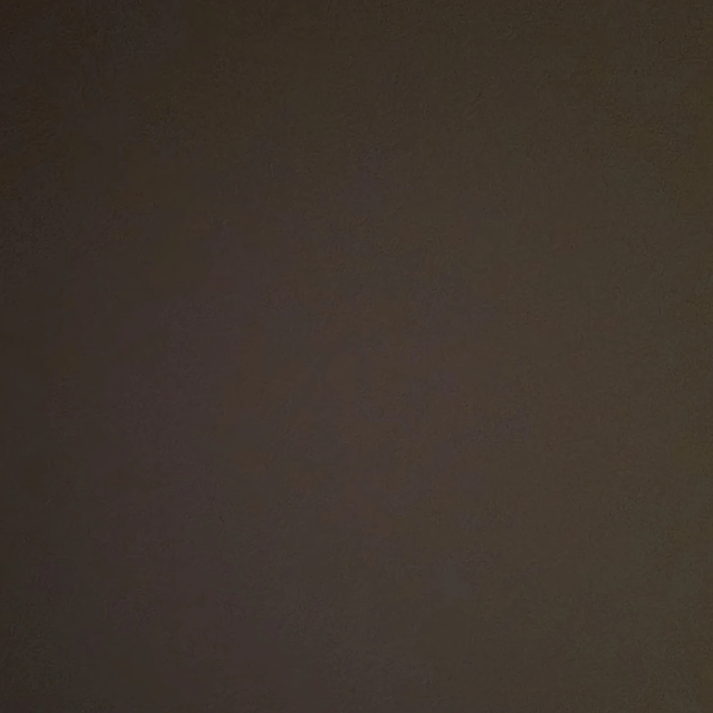 메드베데프