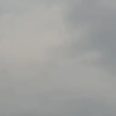Profile image of 森本 慎太郎