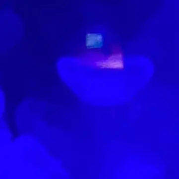 Profile image of 김우빈