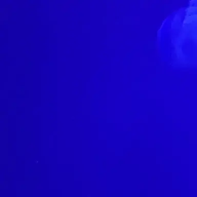 Profile image of 이광수