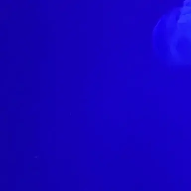 CockyStork8947의 콩콩팡팡