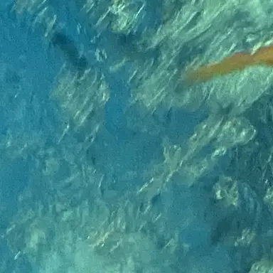 Profile image of 도경수