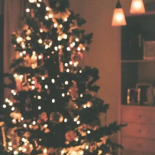 Any1218의 【 나 홀로 집에 .. ? 】