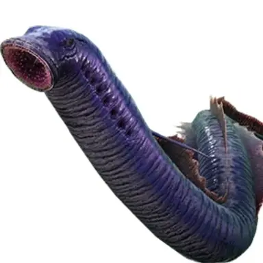 Profile image of 칠성장어