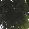 Profile image of 先生たち