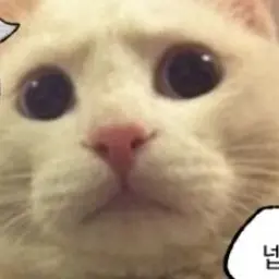 Profile image of 아카네 미카
