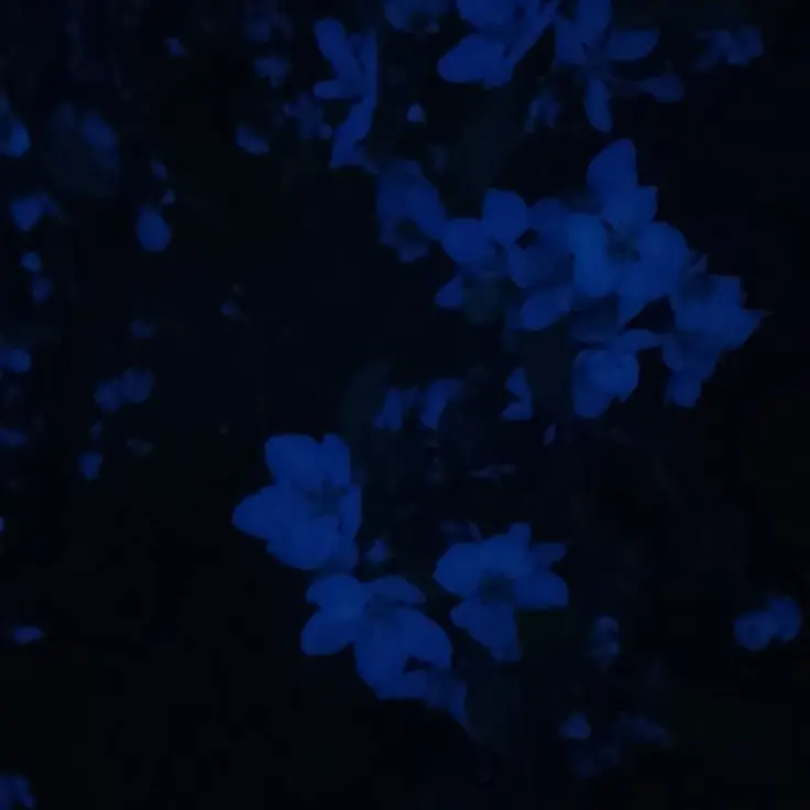 LightNurse0685의 My Uninvited Ghost