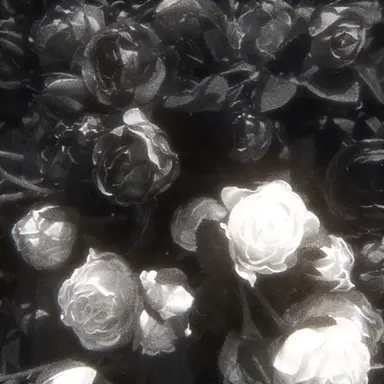 Profile image of 하세가와 에이지