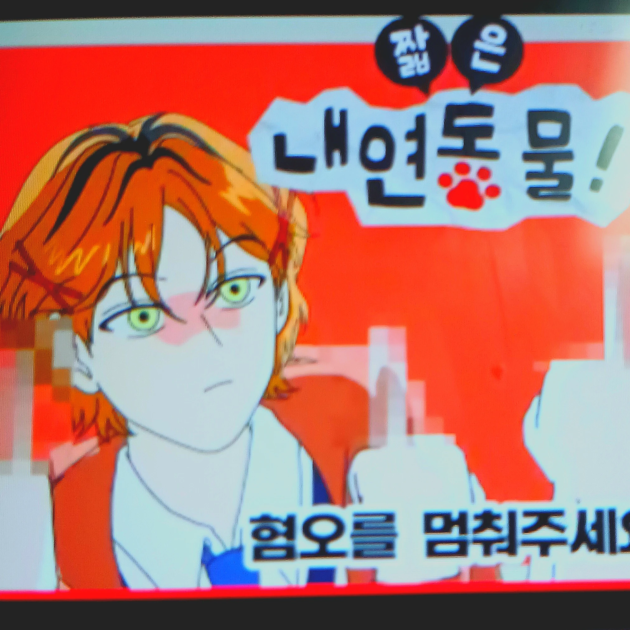 내연동물