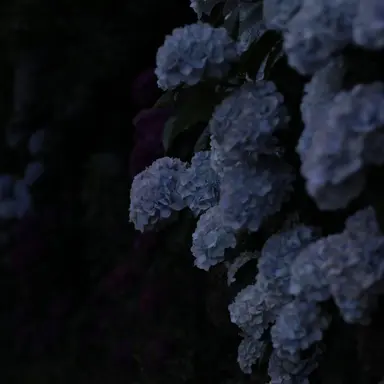 Profile image of ジョンハン