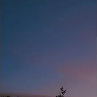 Profile image of 수현