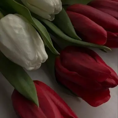 Profile image of 라더