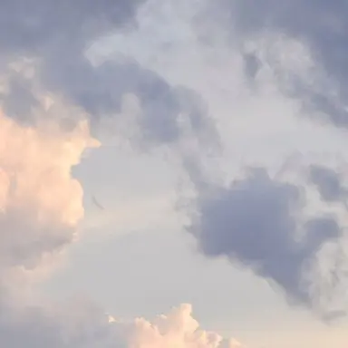 Profile image of 잠뜰