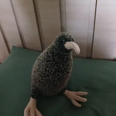 Profile image of 주인장