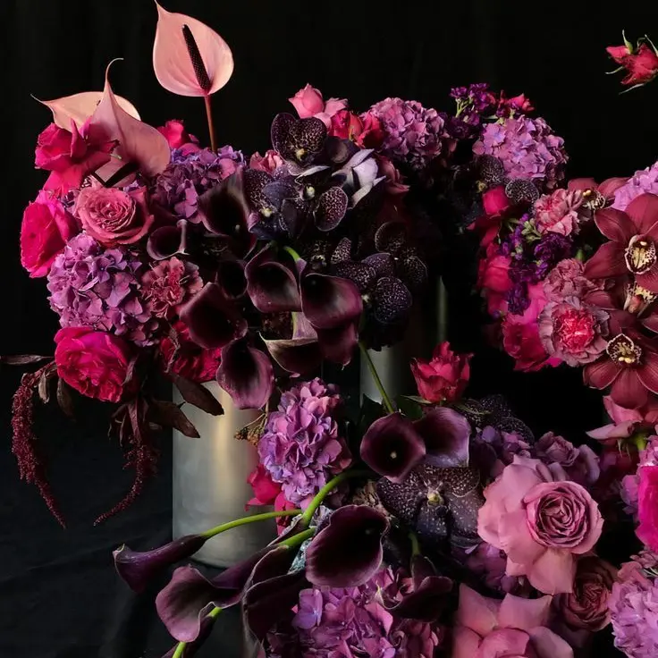 Tukasaki__의 渡会雲雀